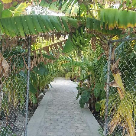 Auberge Pont-Gaudin Gonaives Dış mekan fotoğraf